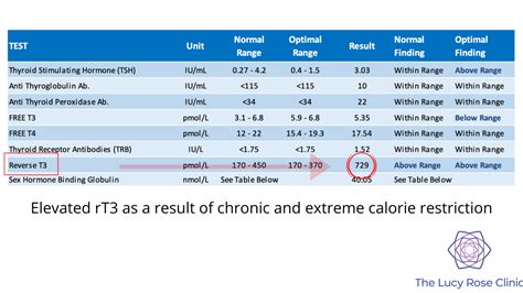 high t3 levels meaning.